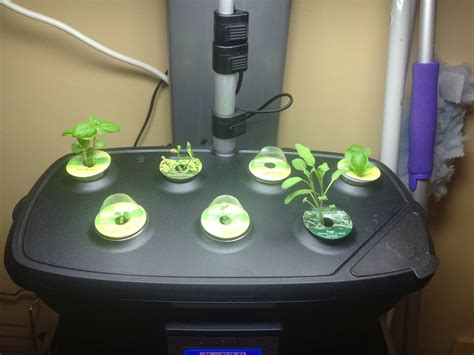 aerogarden refills|aerogarden make your own pods.